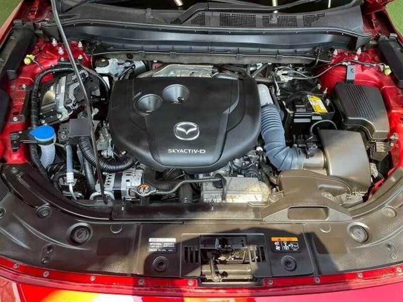CX-8