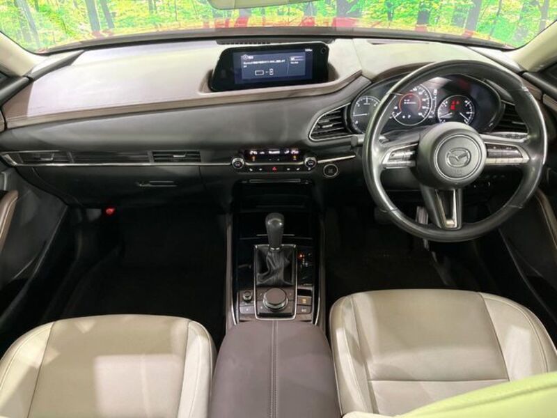 CX-30