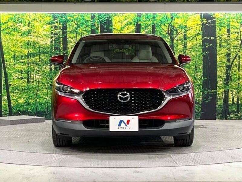 CX-30