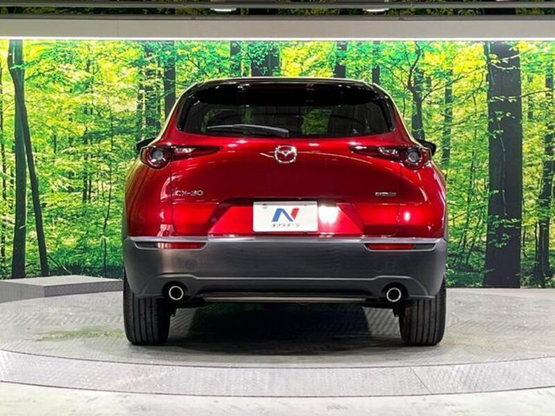 CX-30