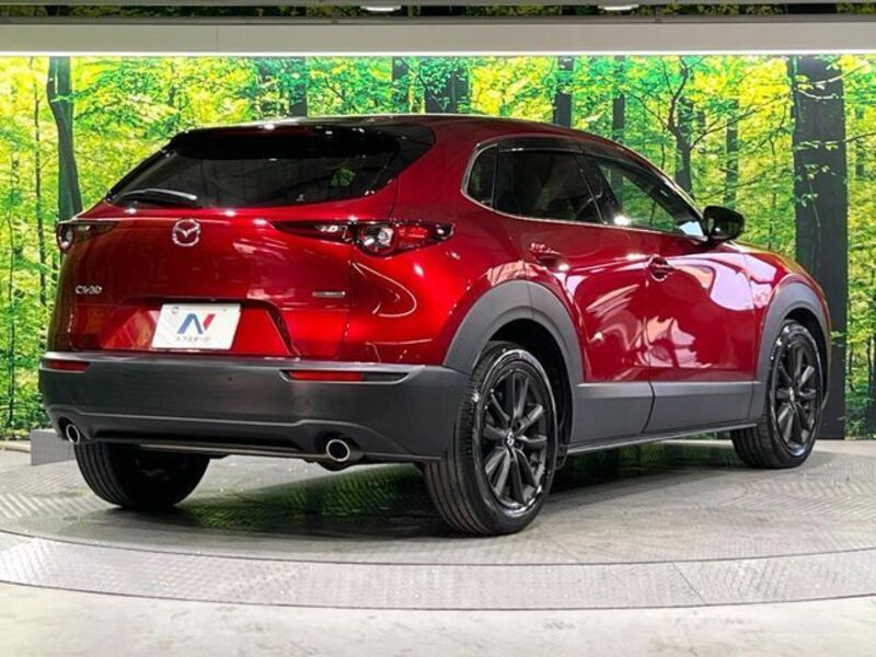CX-30