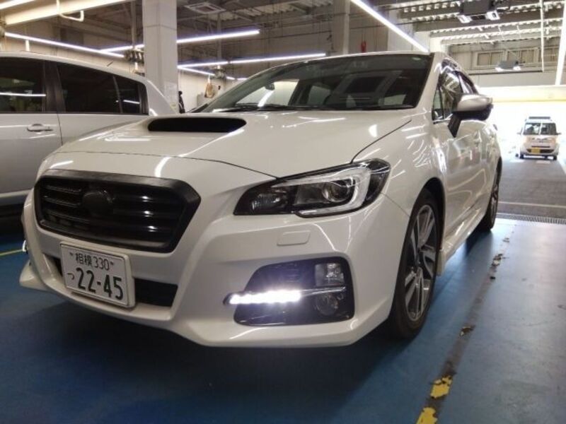 LEVORG-0