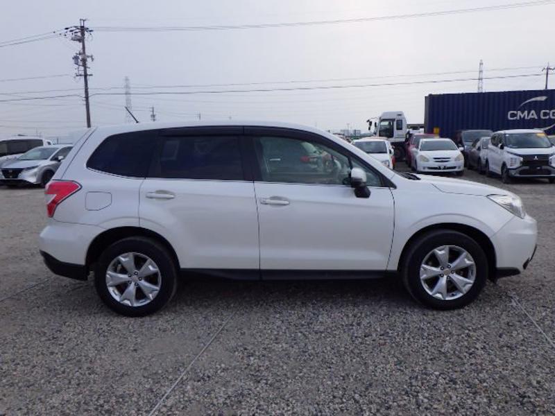 FORESTER
