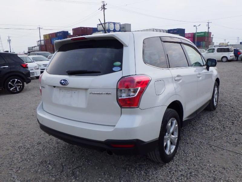 FORESTER