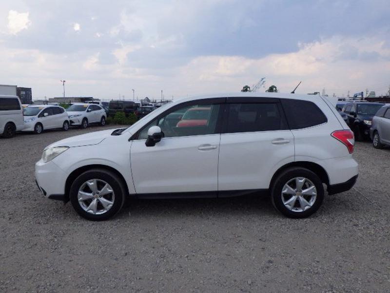 FORESTER