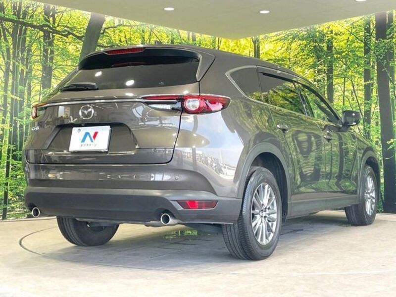 CX-8