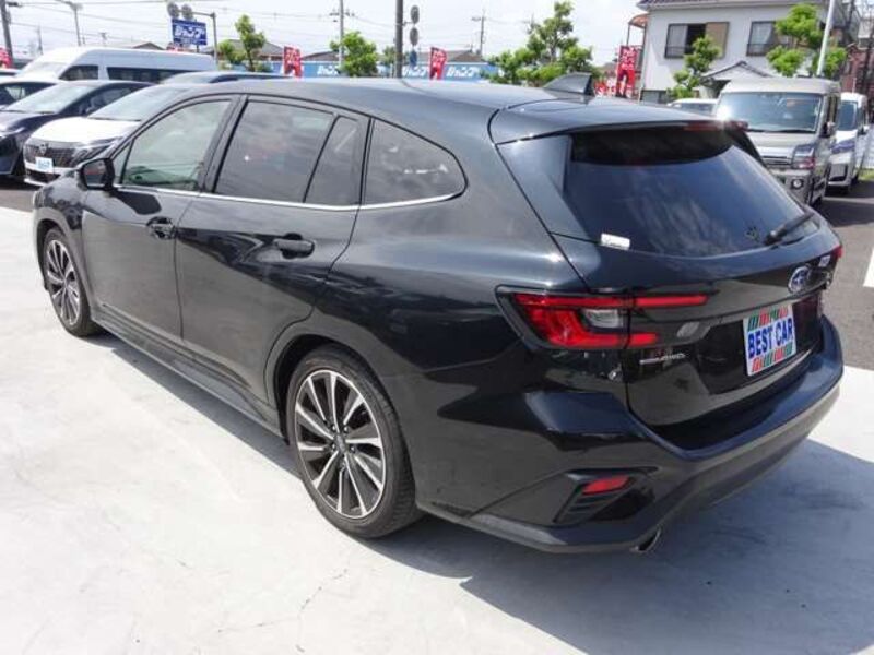 LEVORG