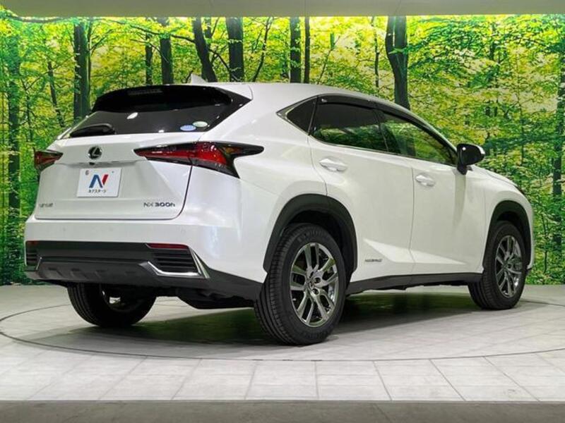 NX