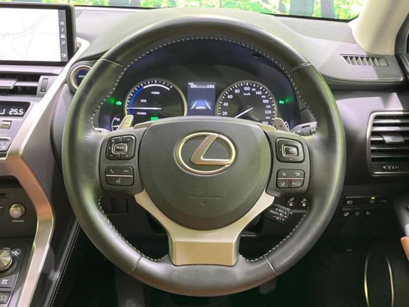 NX