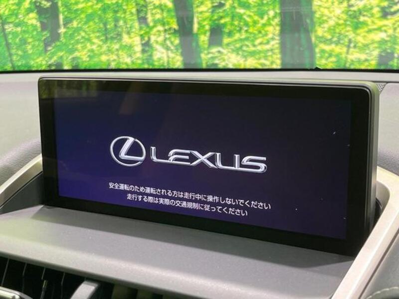 NX