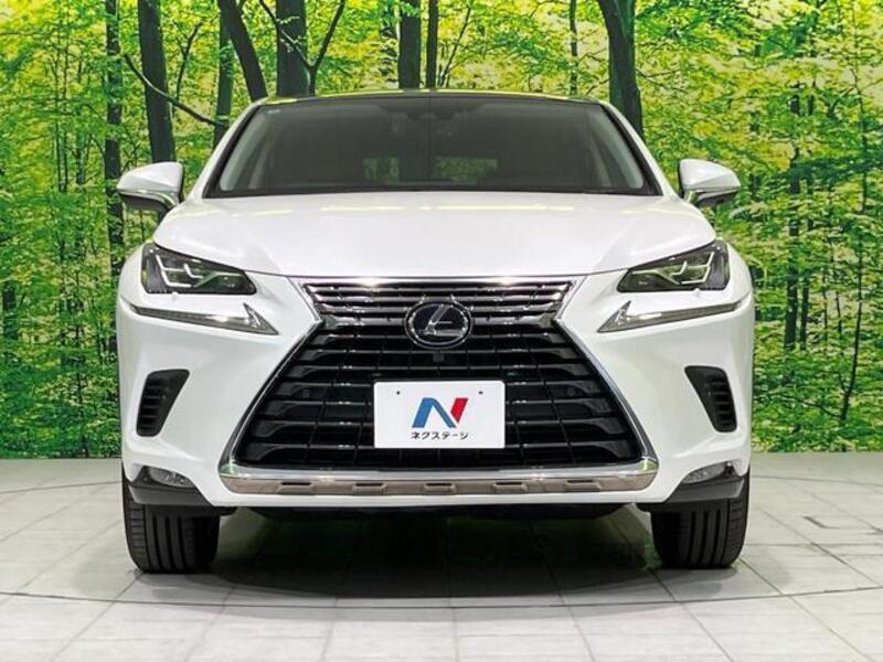 NX