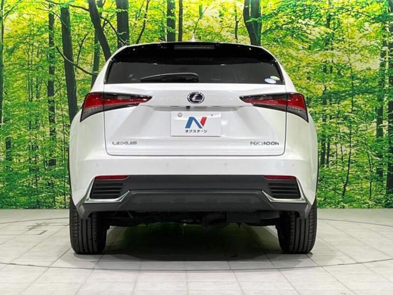 NX