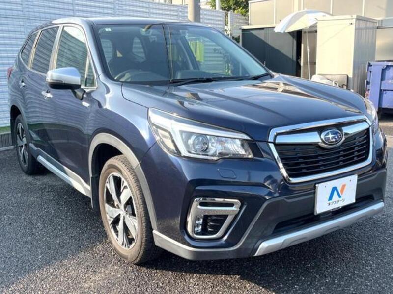 FORESTER