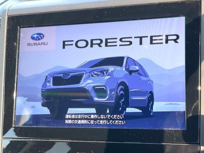 FORESTER
