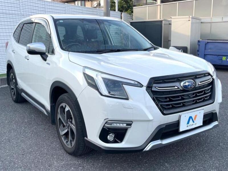 FORESTER