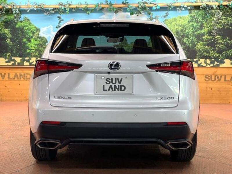 NX