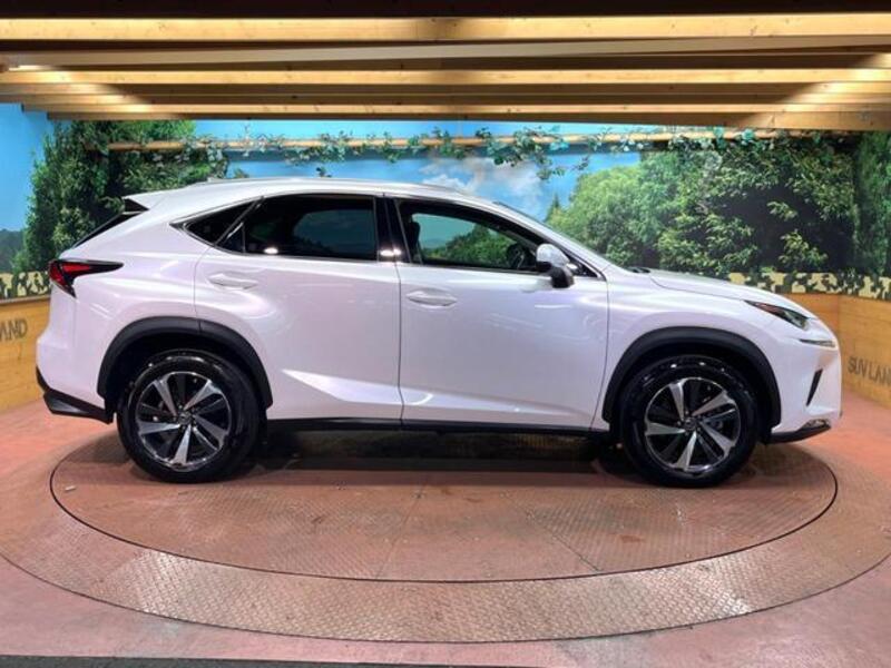 NX
