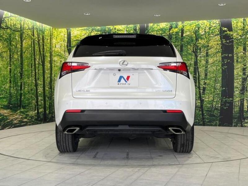 NX