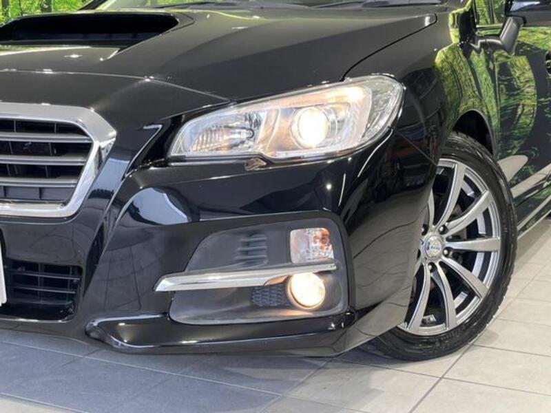 LEVORG