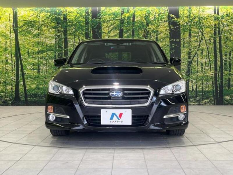 LEVORG