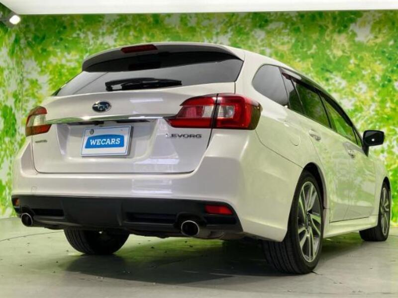 LEVORG