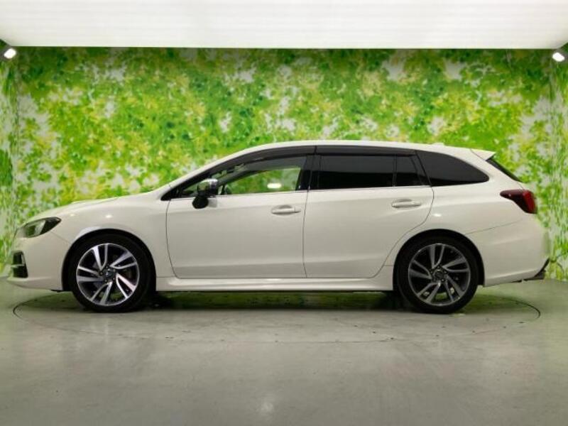 LEVORG