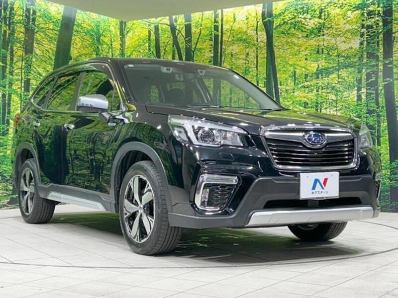 FORESTER