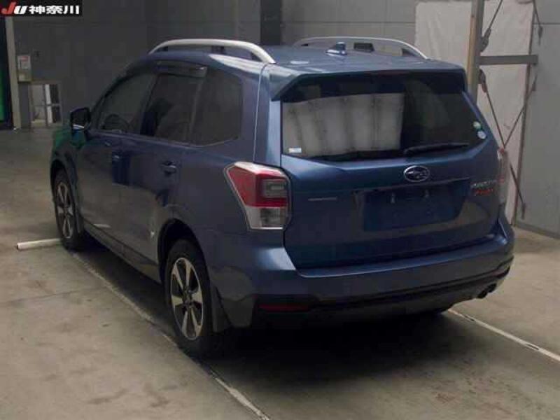 FORESTER