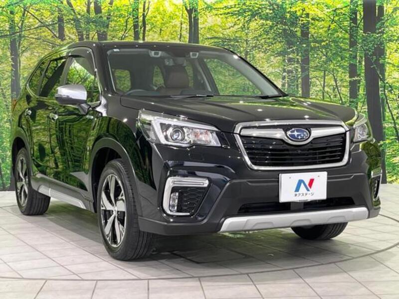 FORESTER
