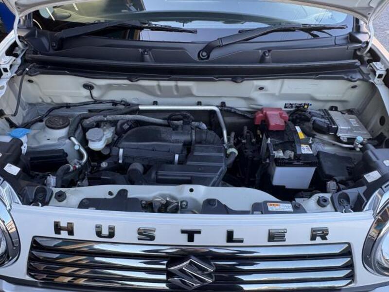 HUSTLER