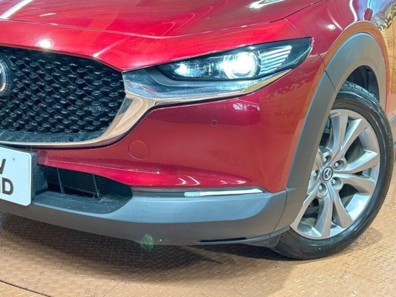 CX-30