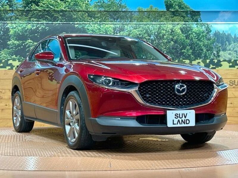 CX-30