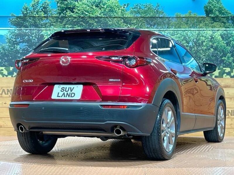 CX-30