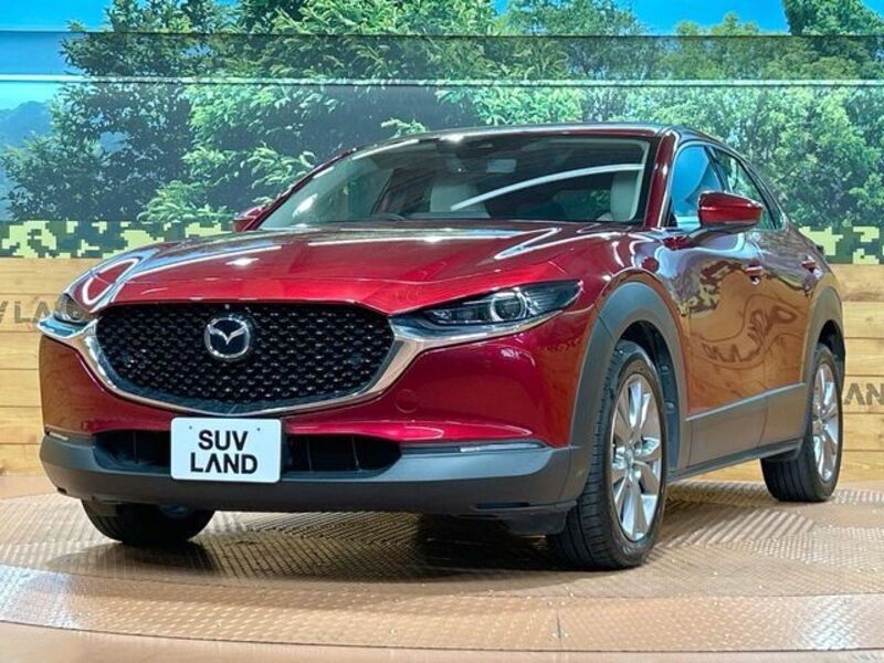 CX-30
