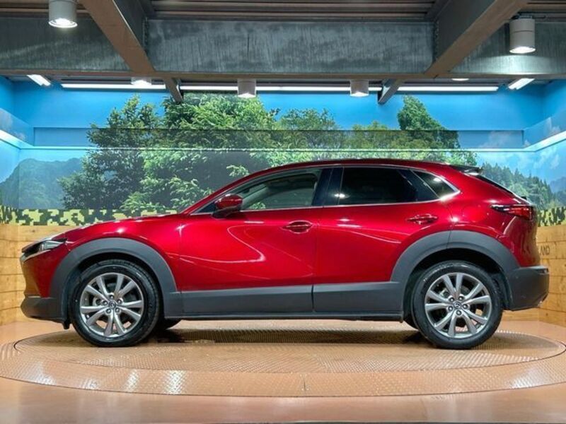 CX-30