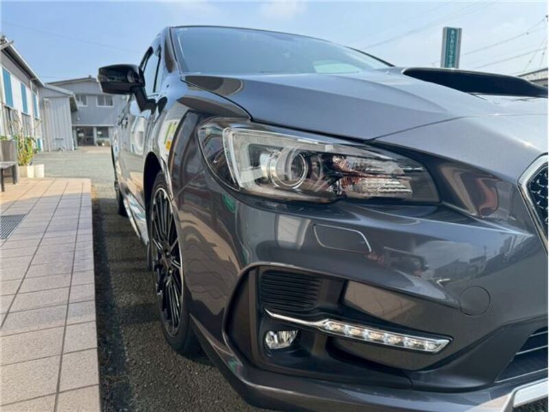 LEVORG