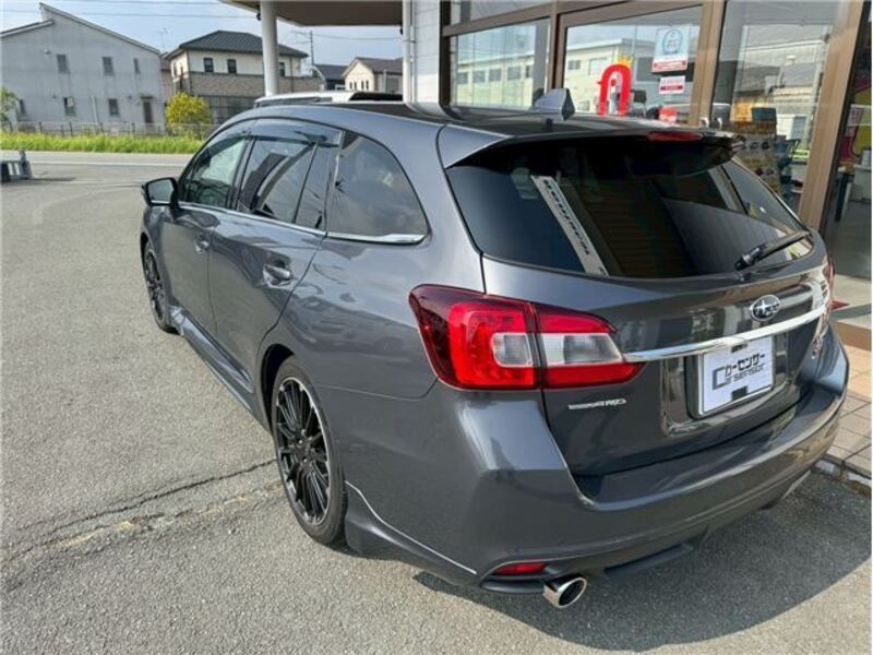 LEVORG