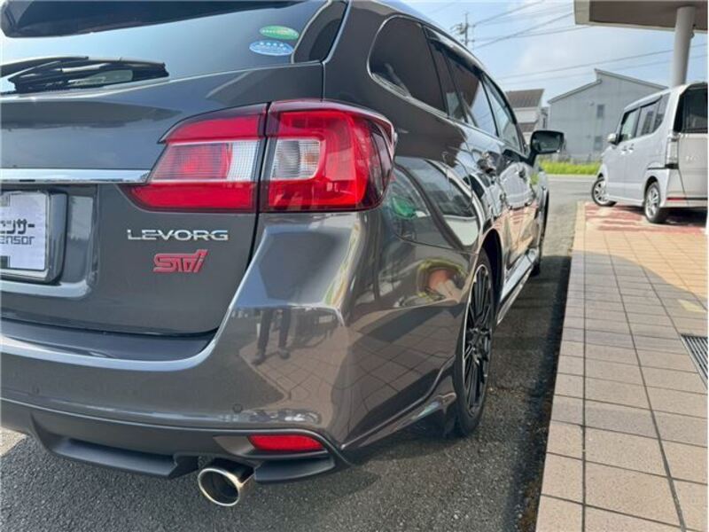 LEVORG