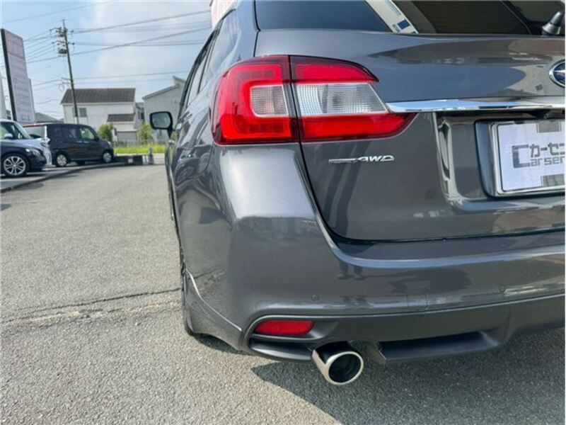 LEVORG