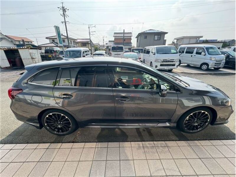 LEVORG