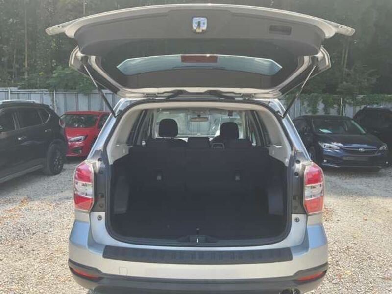 FORESTER