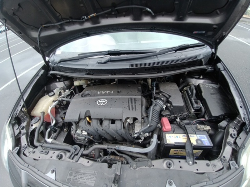 AURIS