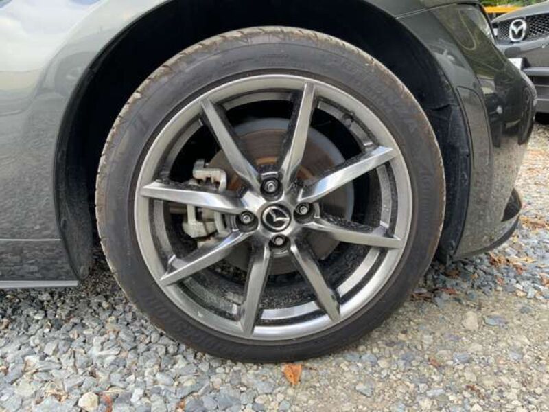 ROADSTER RF