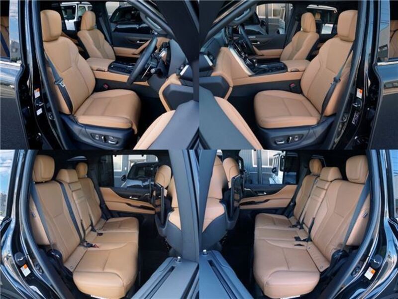 LX
