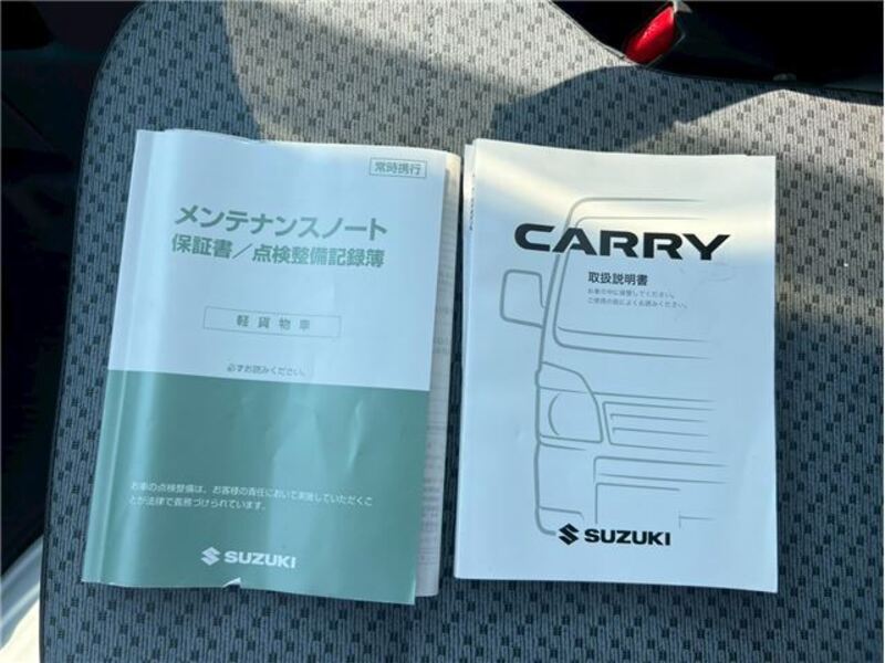 CARRY TRUCK