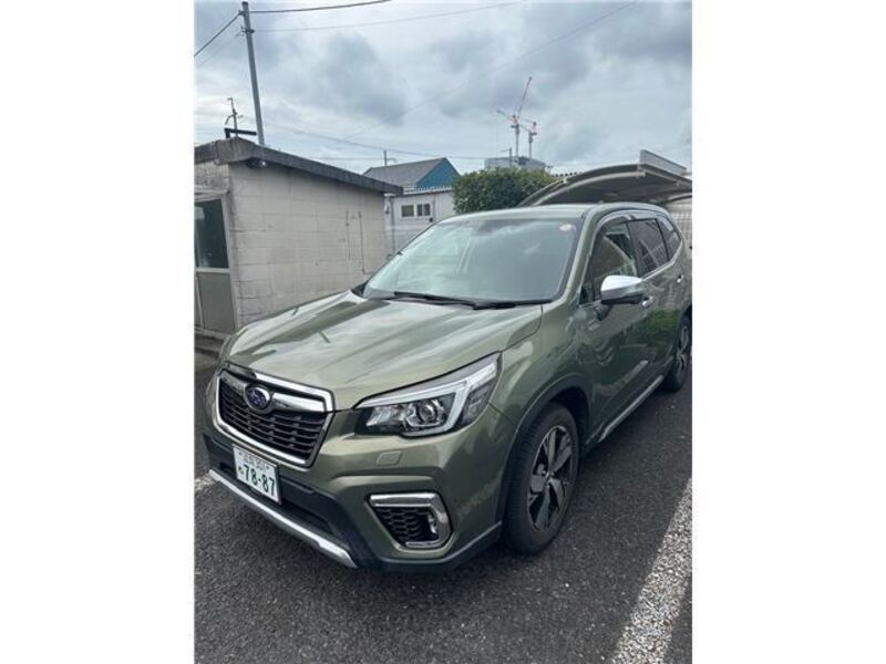FORESTER