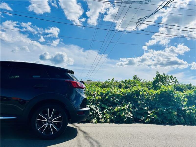 CX-3