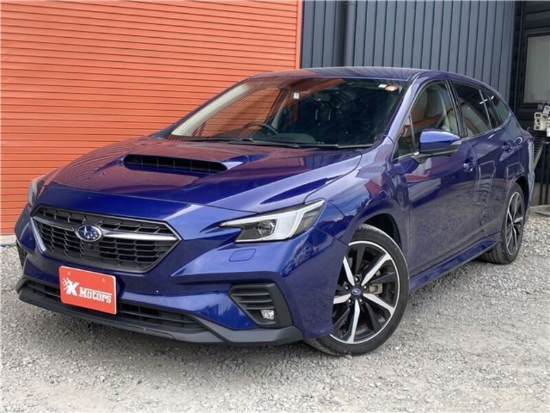 LEVORG-0