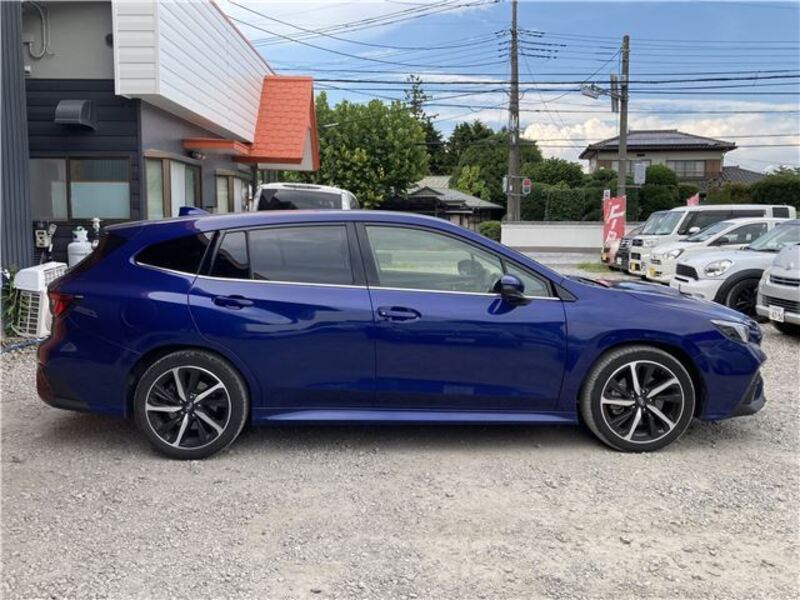 LEVORG