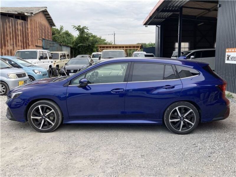 LEVORG